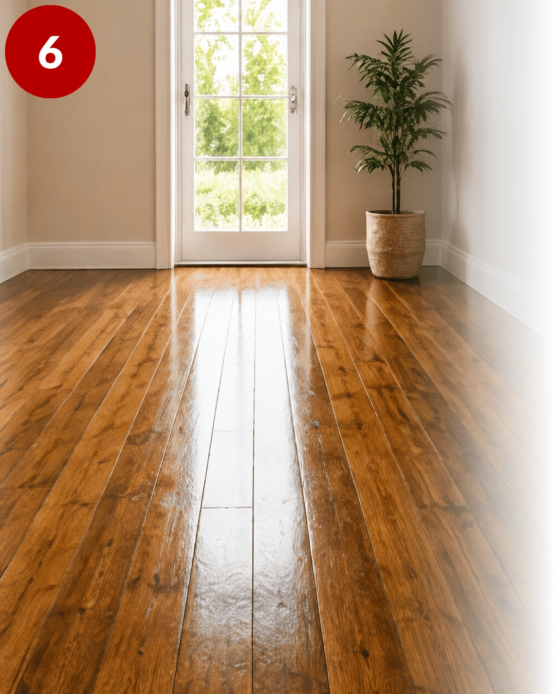 Finished wooden floor after floor sanding and sealing, showing a clean polished surface left to dry and cure.